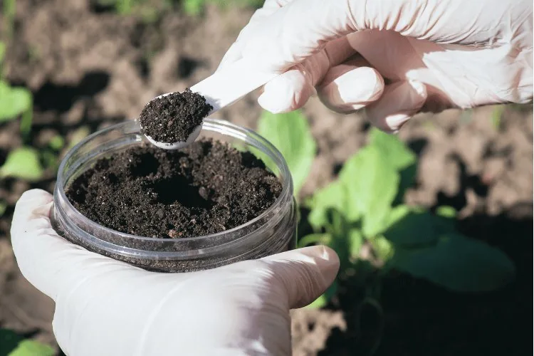 Spells soil energizing image