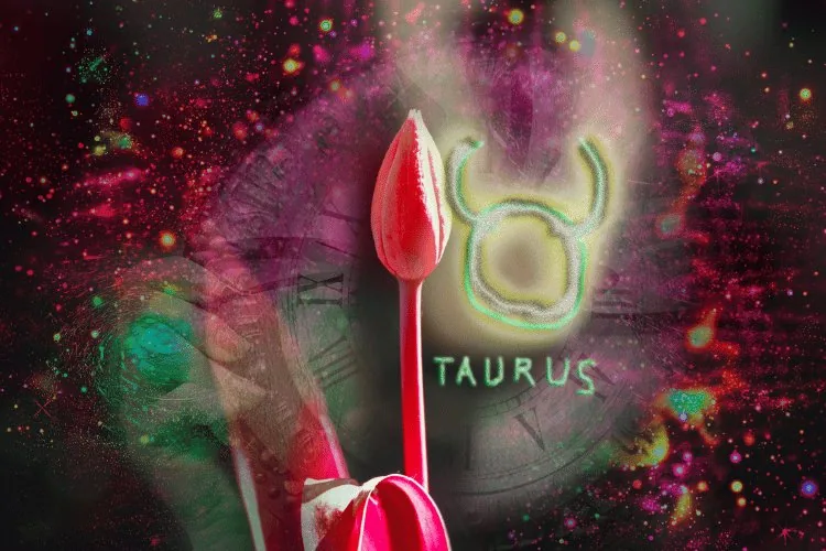 taurus point of view image
