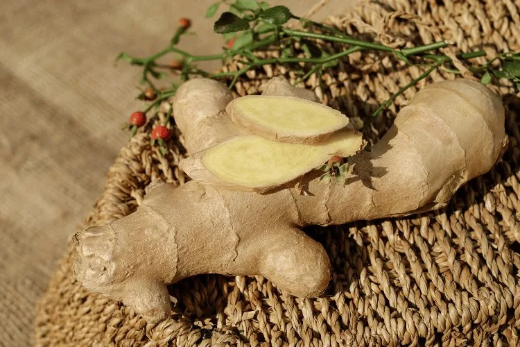 Ginger Soulmates & Blossoming Summer Herbs