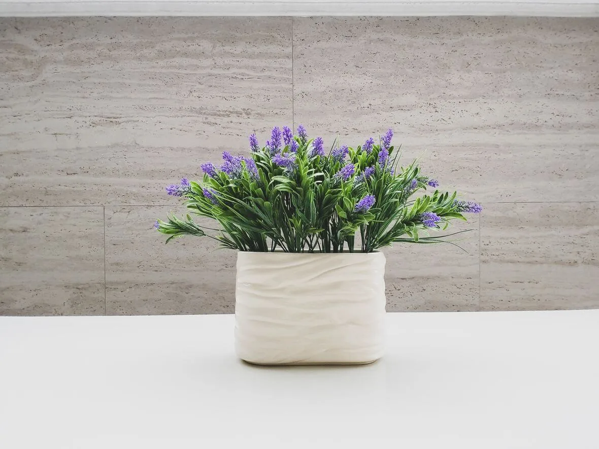 Lavender Aura