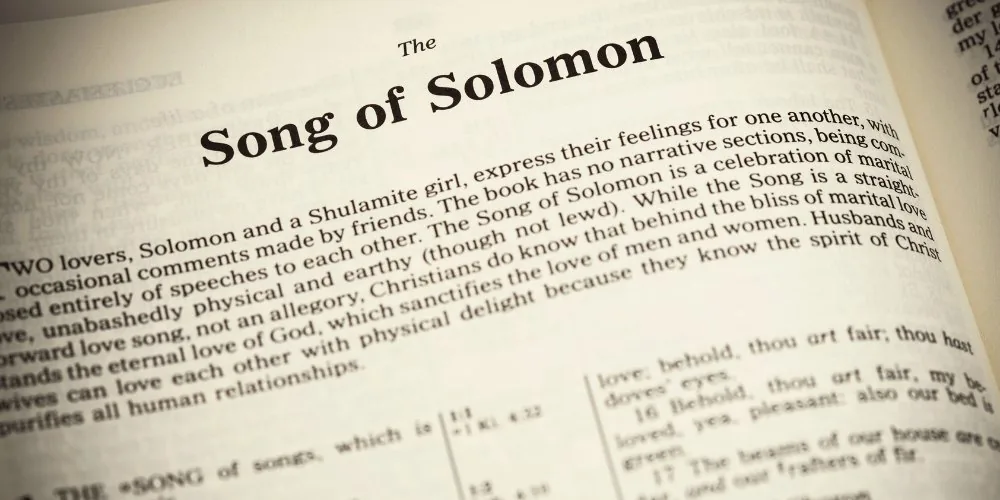 Song of Solomon book image