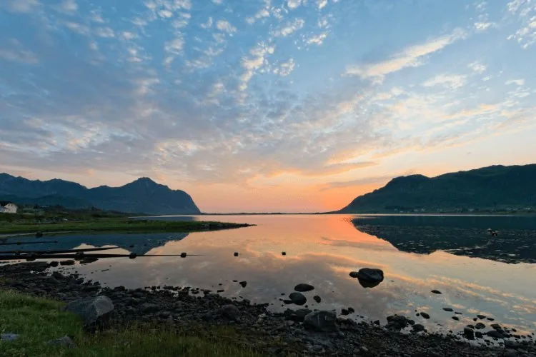 summer solstice image