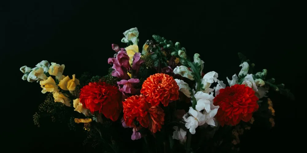 green witch: flower varieties