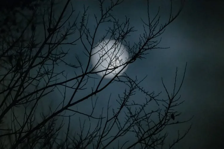 lack access to moon image