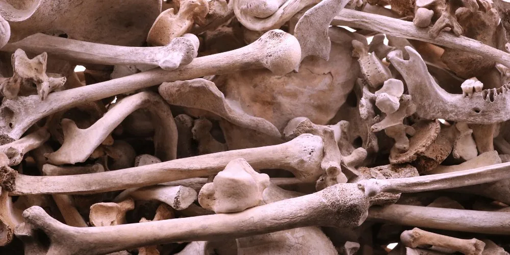 bone reading image