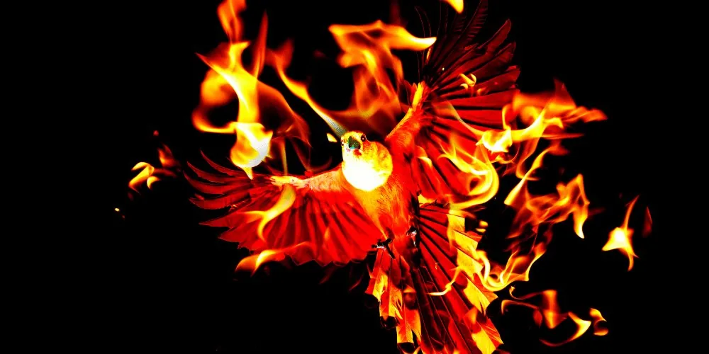 Phoenix