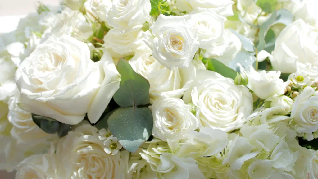 white flower meaning in a relationship