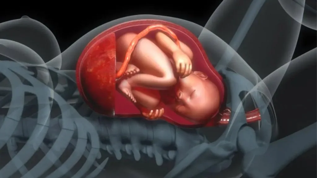 spiritual meaning of umbilical cord around neck
