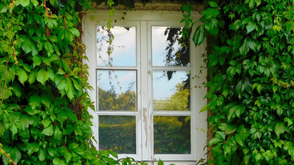 spiritual meaning of tapping on window