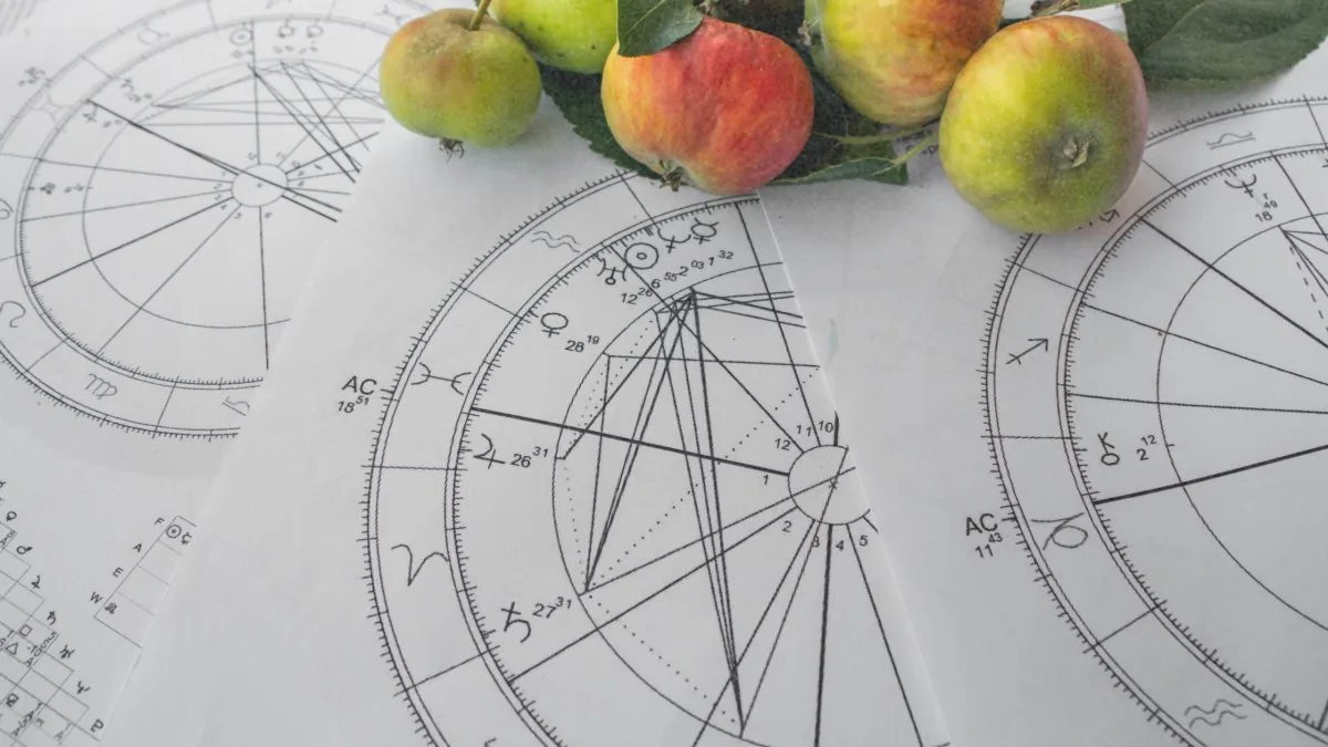birth chart and plums