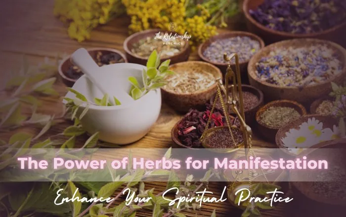 the power of herbs for manifestation featured image
